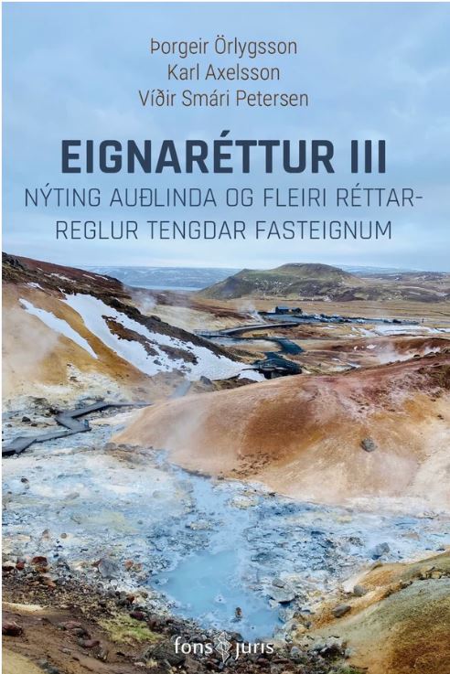 Eignaréttur III