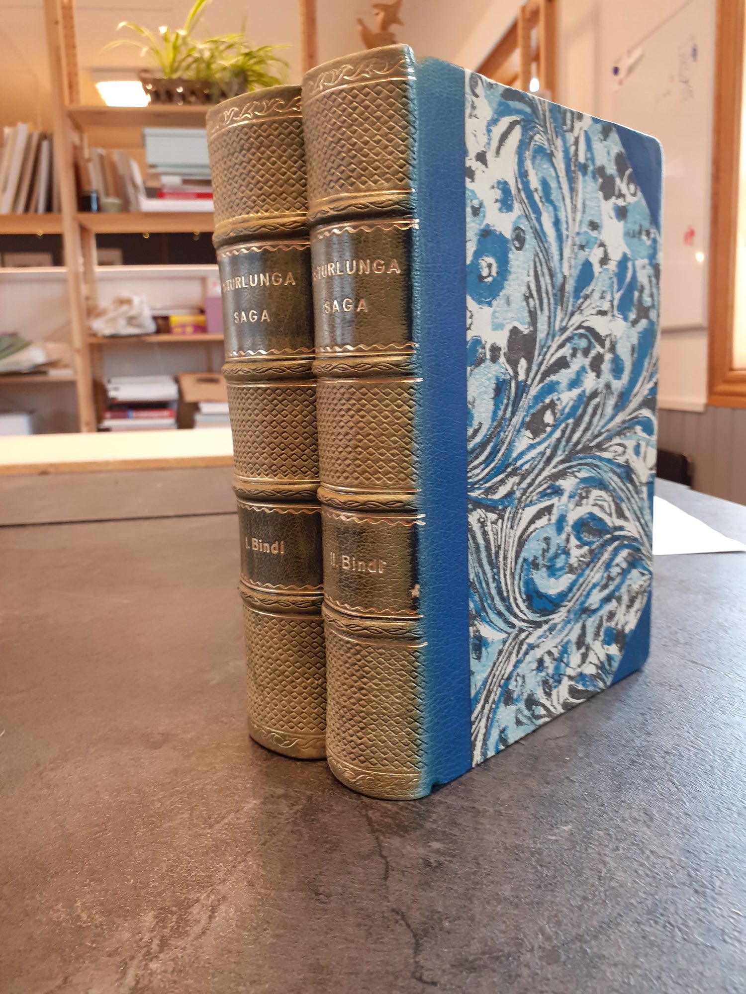 Sturlunga saga I - II