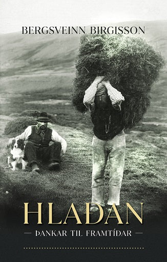 Hlaðan - Þankar til framtíðar