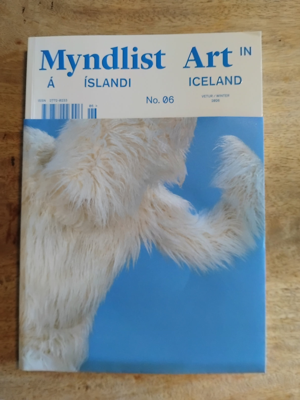 Myndlist á Íslandi / Art in Iceland no. 06