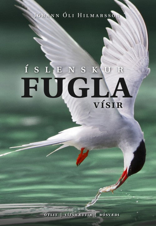Fuglavísir