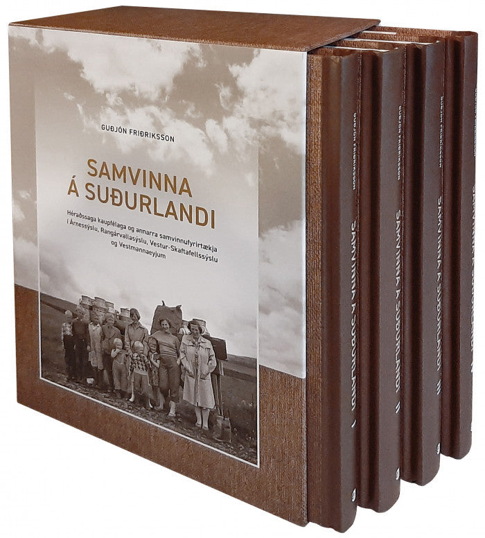 Samvinna á Suðurlandi