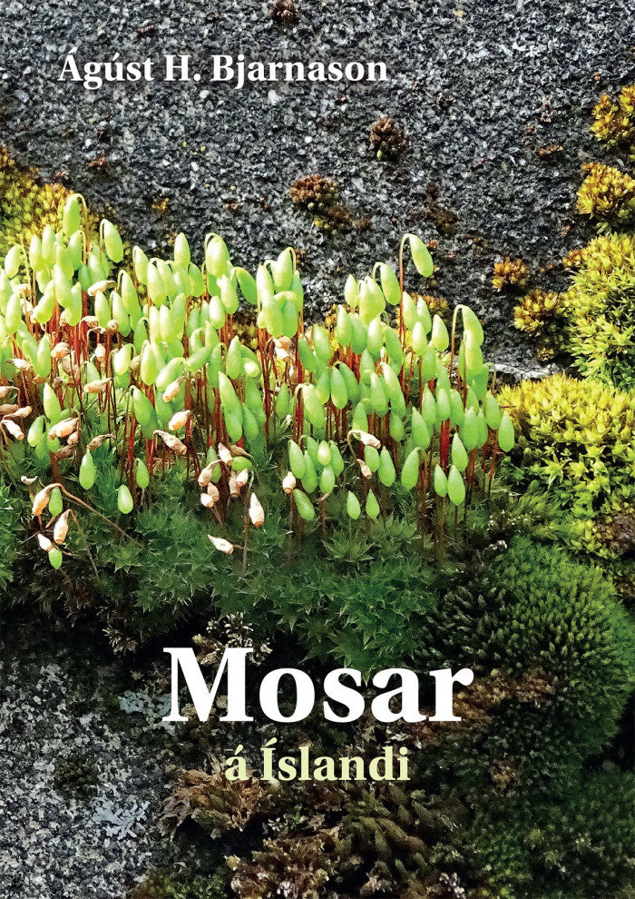 Mosar á Íslandi