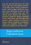 Birgir Andrésson í íslenskum litum