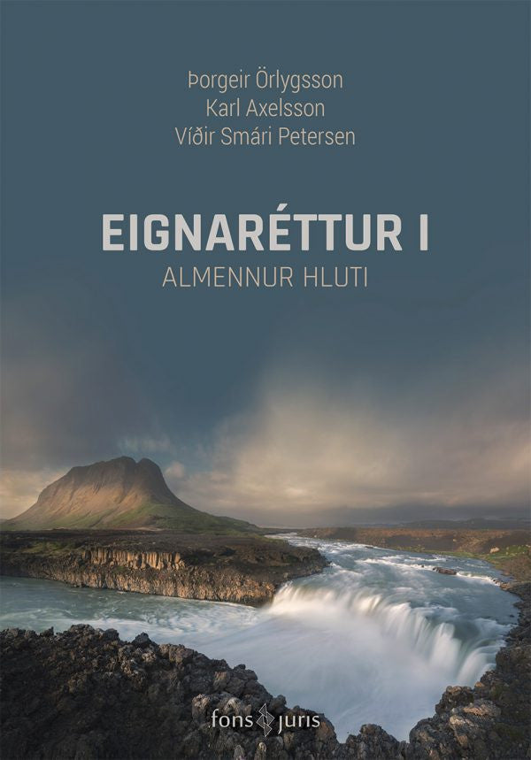 Eignaréttur I. Almennur hluti