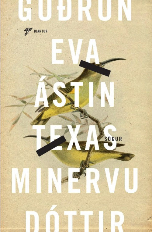 Ástin Texas