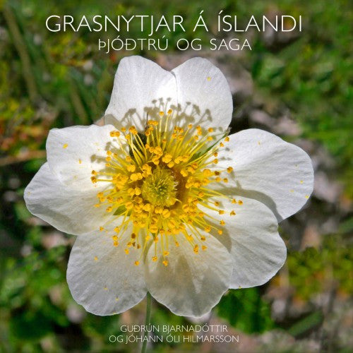 Grasnytjar á Íslandi