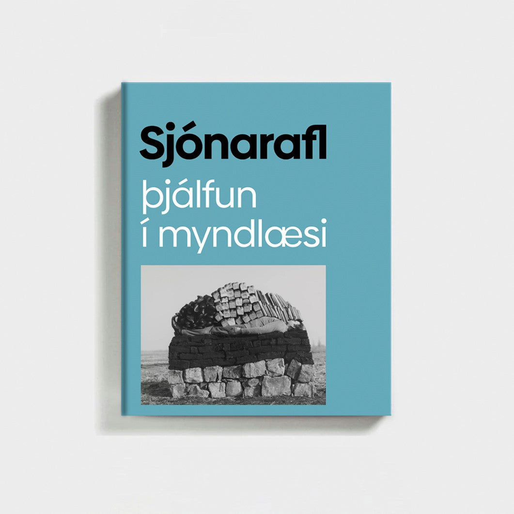 Sjónarafl. Þjálfun í myndlæsi