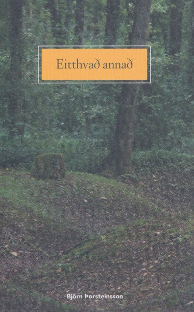 Eitthvað annað