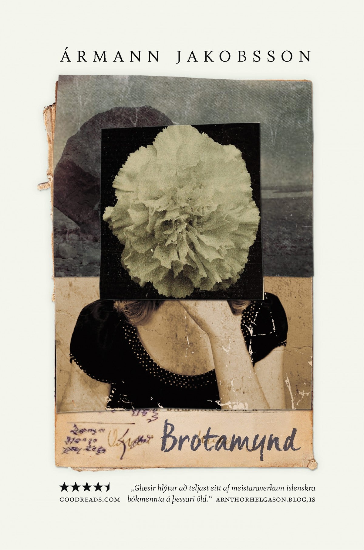 Brotamynd