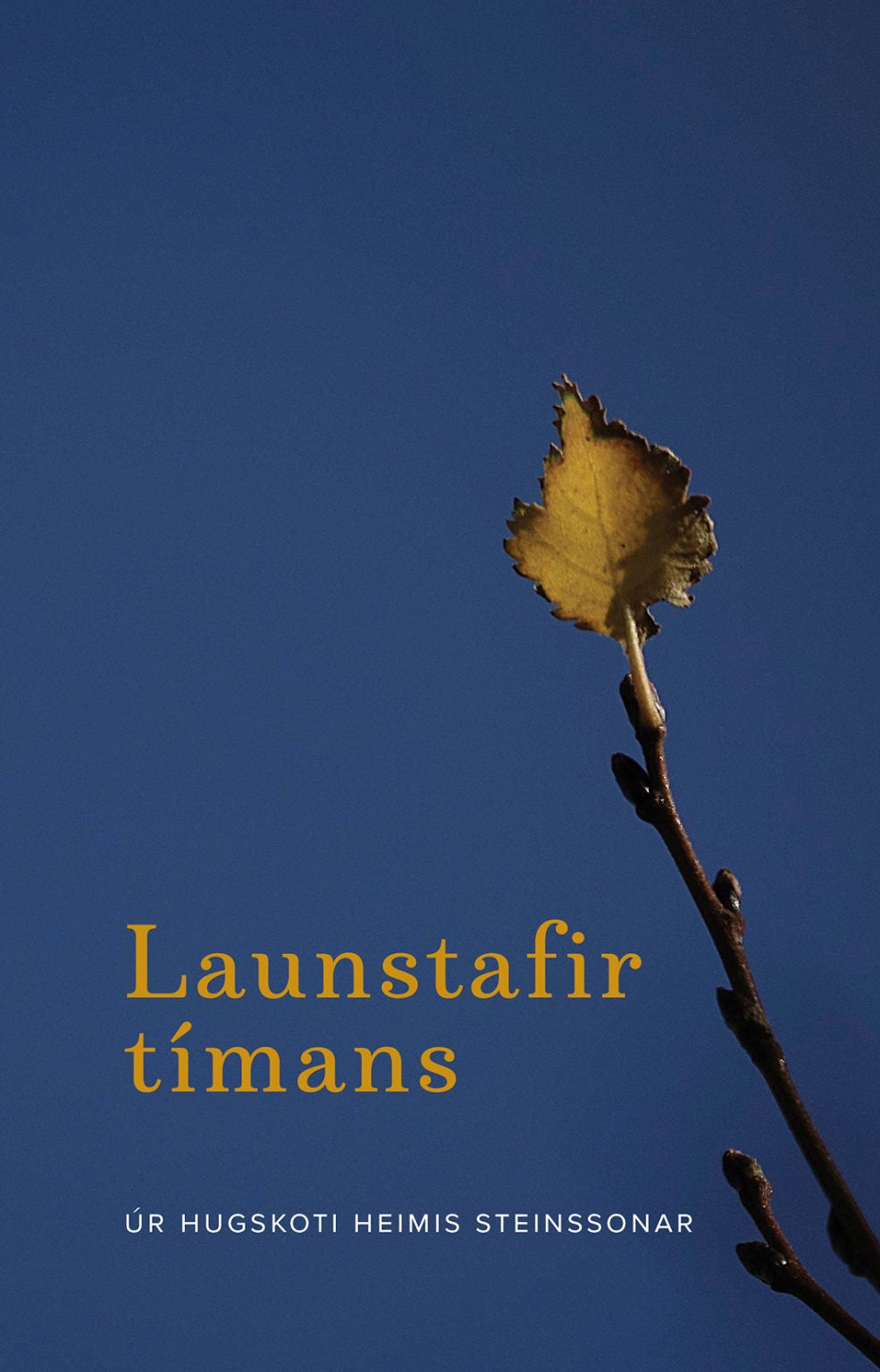 Launstafir tímans